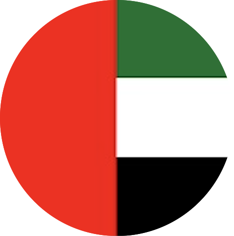 Dubai Flag